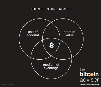 TriplePointAsset